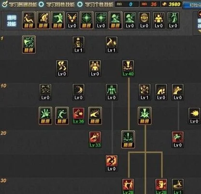 60-70级女柔道刷图加点全解析指南