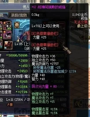DNF 85级剑神首饰搭配与装备选择解析