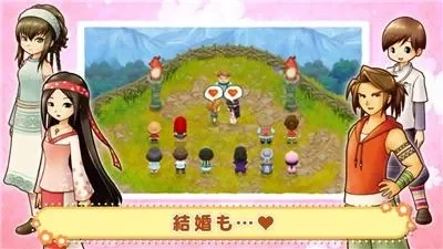 牧场物语双子村结婚攻略详解