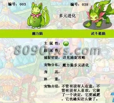 洛克王国武斗酷猫努力值攻略：性格与配招解析