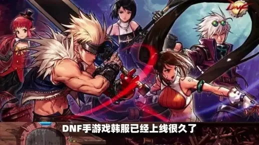 dnf手游韩苹果翻译-DNF韩苹果翻译：跨文化桥梁