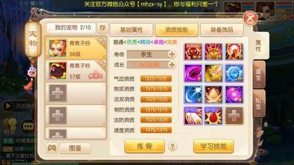 梦幻诛仙化生公式-化生公式助你生存