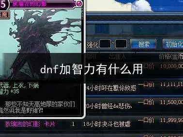 dnf智力有什么用