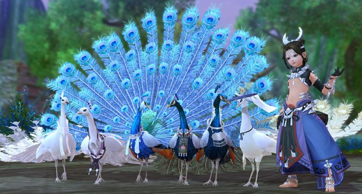 五毒门派跟宠攻略