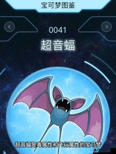 超音蝠冒险游戏攻略秘籍