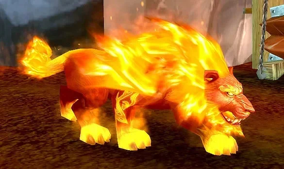 魔兽世界火猫外观分享