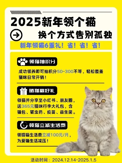 猫咪激活码兑换vip-猫咪激活码兑换VIP特权