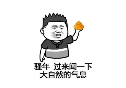自由的气息是什么梗-探讨自由气息内涵