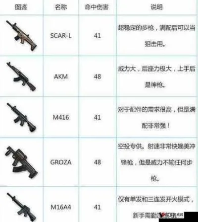 绝地求生步枪排名