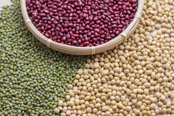 五谷中的菽是什么-五谷菽的古今价值