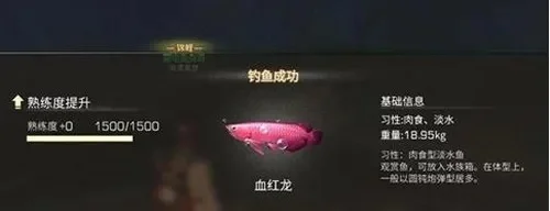 明日之后血红龙多久会死-血红龙刷新死亡时间解析