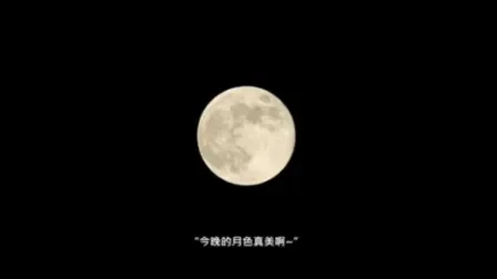 抖音今晚月色真美是什么梗-抖音月色梗文化现象
