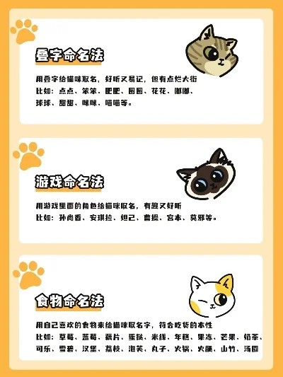帮助猫咪名字特殊符号-猫咪特殊符号命名法
