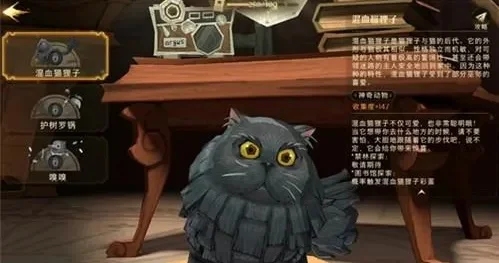 混血猫狸子如何获取-混血猫狸子获取方法
