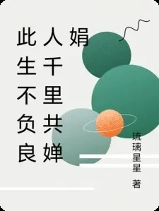 你说此生不负良人千里共婵娟是什么歌