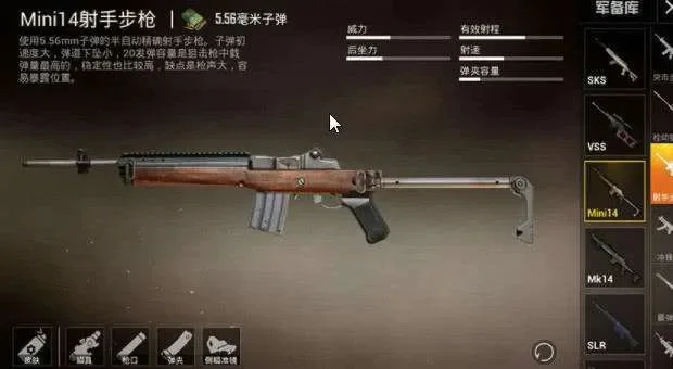 和平精英一般带哪两把枪新手-新手必带两把枪