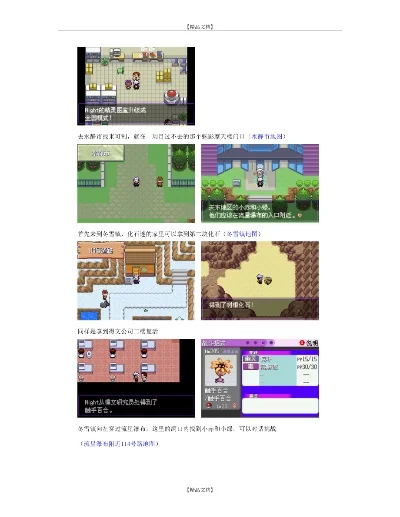 口袋妖怪漆黑魅影攻略