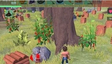 创造与魔法辣椒在哪创造与魔法辣椒在哪里图介绍-创造魔法辣椒种植指南