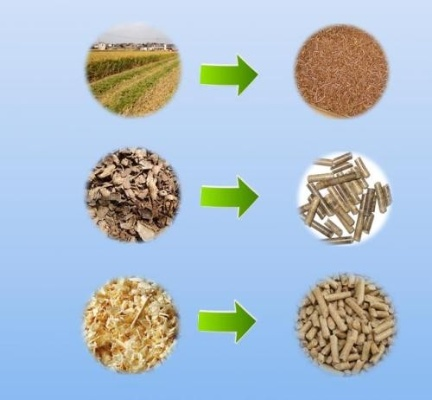 生物质哪里刷效率翻倍？新手避坑指南