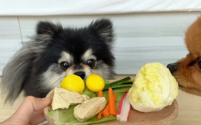 菜鸡狗最新版本-菜鸡狗新版本体验评测