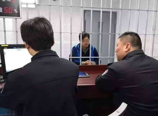 混服提审是什么,是新区吗？-混服提审与新区区别解析