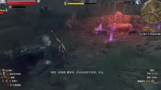 巫师3镜子大师-镜中世界挑战