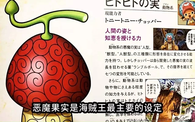 我的最强恶魔果实-最强恶魔果实解析