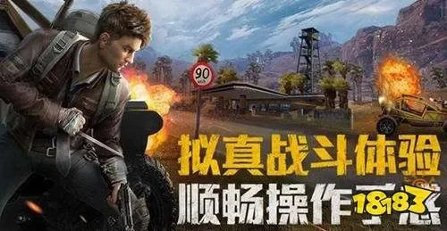 和平精英有体验服吗-体验服重要指南