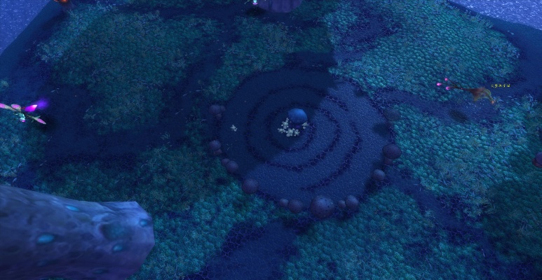 赞加沼泽吸水之微粒的奥秘,生态功能与价值解析