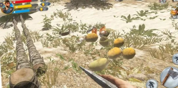 野外生存指南游戏攻略