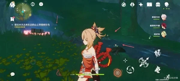 原神与珍稀之鸟的短暂邂逅任务怎么做-原神珍稀鸟攻略