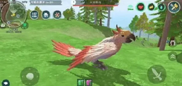 创造与魔法云斑鹦鹉位置-云斑鹦鹉位置与驯服指南