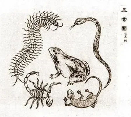 五毒仙是哪几位仙家