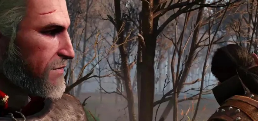 巫师3树心杀不杀的终极抉择,道德与后果的深度解析,树心任务全攻略