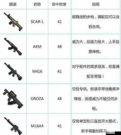 弹药带什么武器-弹药搭配指南