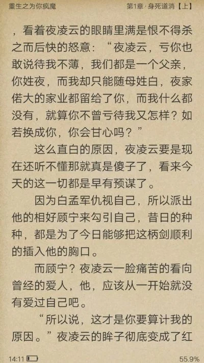 重生之为你疯魔-重生冒险救赎执念