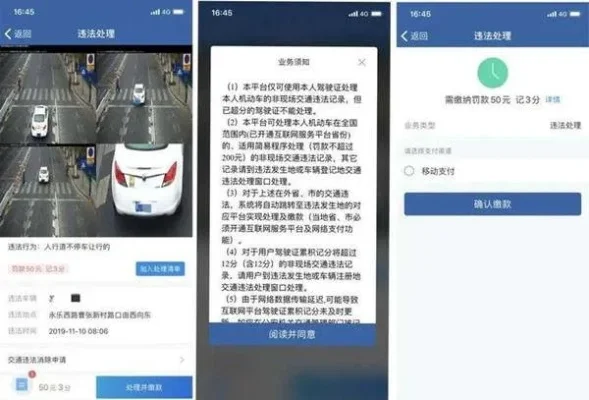 交管12123怎么交罚款-交管12123缴纳罚款