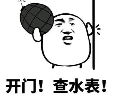 查水表什么意思-游戏中隐藏任务探索