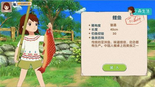 小森生活里怎样才能做出完美小鱼干？
