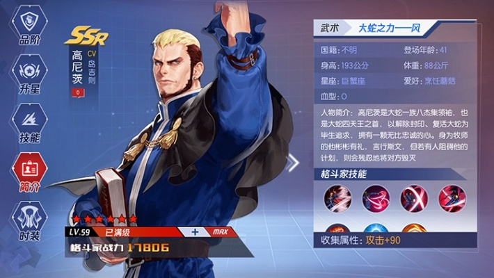 拳皇命运高尼茨攻略解析,角色技能详解,实战技巧大全