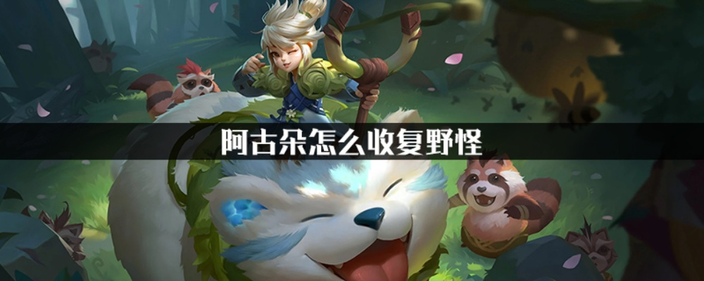 阿古朵放生野怪助战全攻略